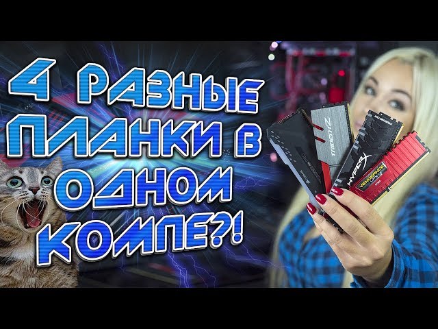 Постер Speed - Мы разные такие