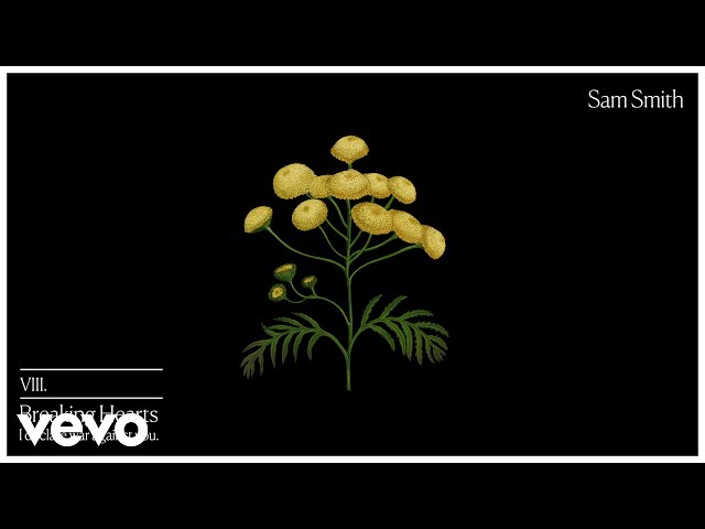 Постер Sam Smith - Breaking Hearts