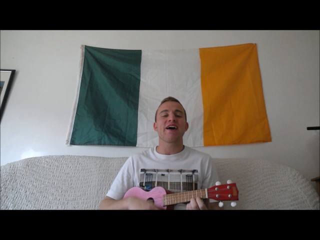 Постер Mick Konstantin - Theres Only One Conor Mcgregor