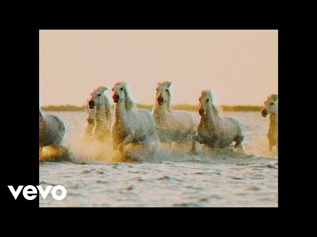 Постер Calvin Harris & Rag'n'Bone Man - Giant