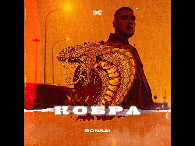 Постер Bonsai - Кобра