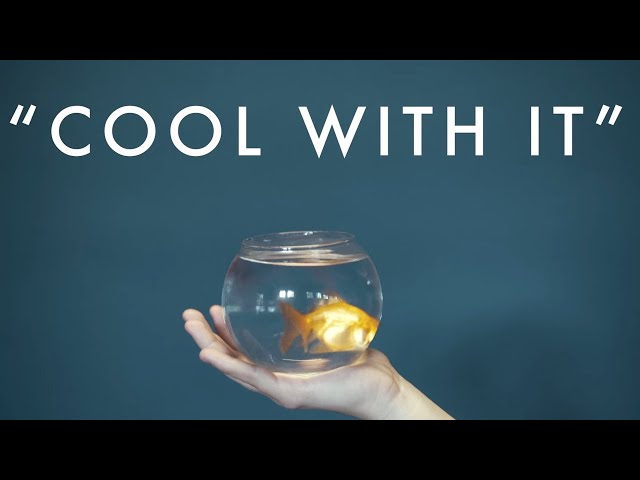 Постер Josie Dunne - Cool With It