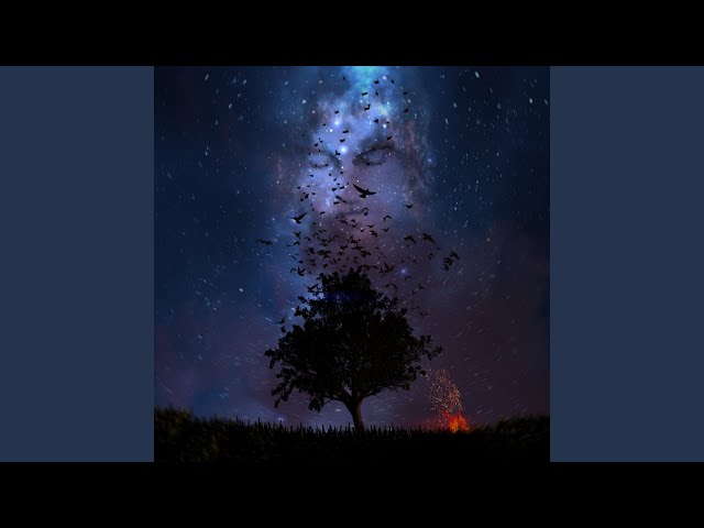 Постер May Wave$ - Outro