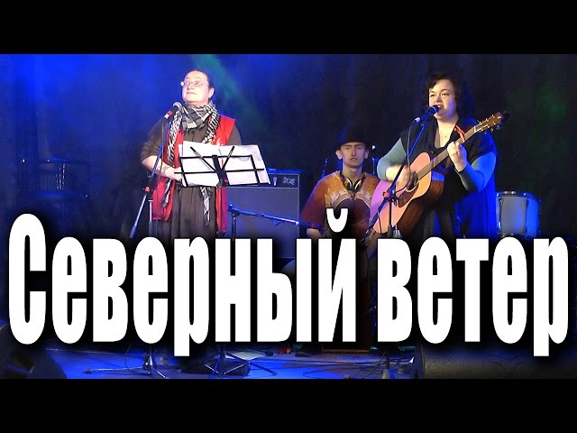 Постер Кошка Сашка - Северный ветер