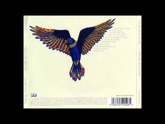 Постер Black Keys - Black Door